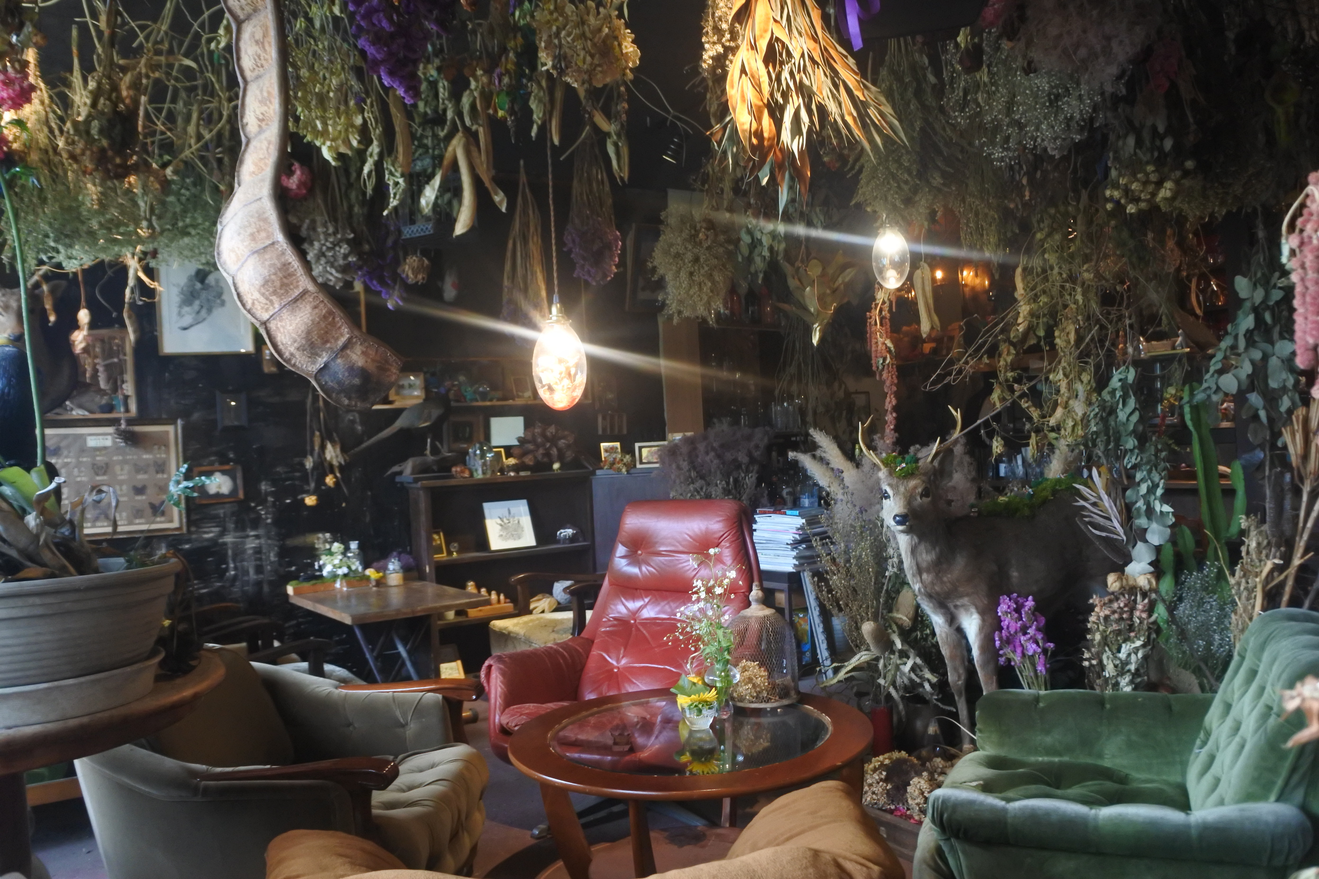 国際会館 ジブリの世界 幻想的空間でお花畑のティラミス 秘密基地植物園 自己中心食日記 Powered By ライブドアブログ