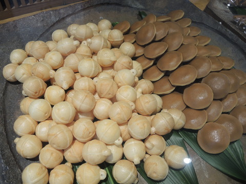 DSCN5166