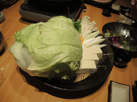 DSCN5243