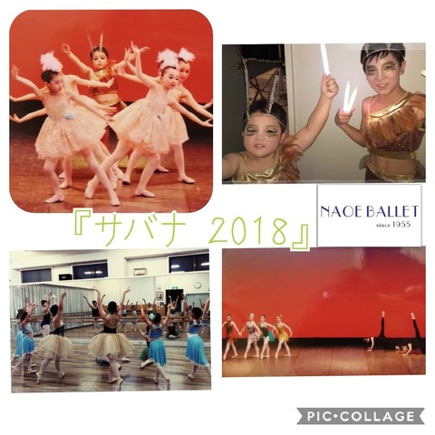 Collage 2020-05-18 13_11_17