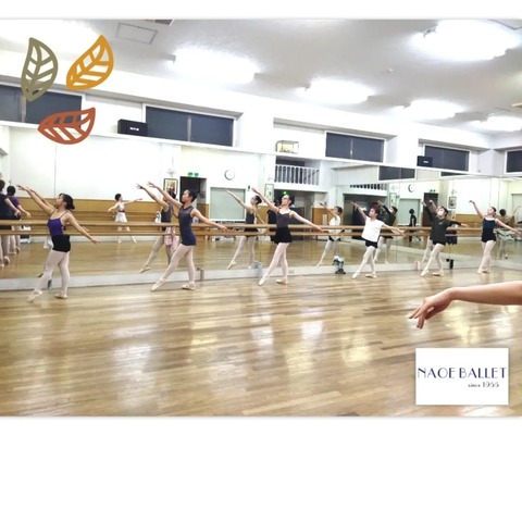 IMG_20240919_101235_029