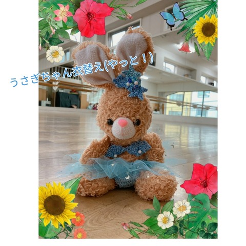 うさぎちゃんにやっと夏がきた！