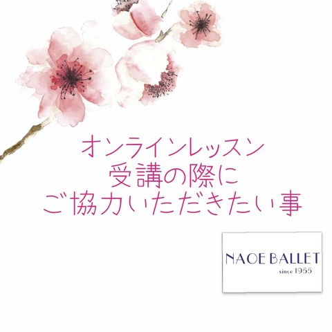 【オンラインレッスン】ご協力いただきたい事