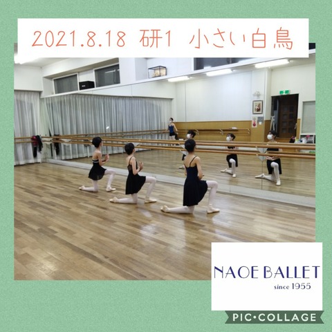 2021.8.18 研1　小さい白鳥