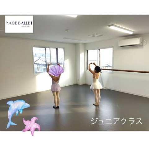 IMG_20240726_141822_134