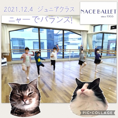 2021.12.4 ジュニアクラス　ニャー