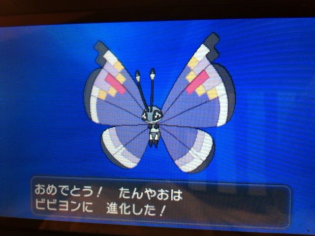 13年10月 ポケモンします