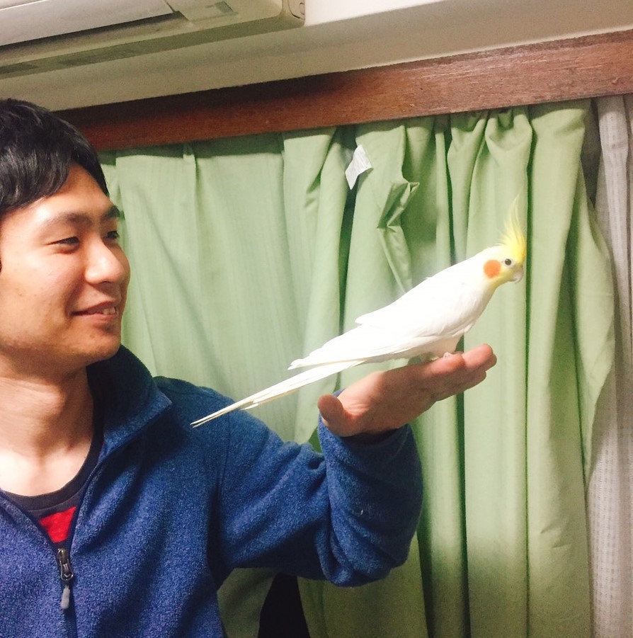 オカメインコの腹話術 はせのブログ