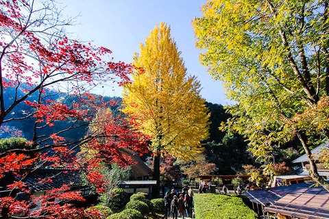 japan-guide-autumn-color-Korankei