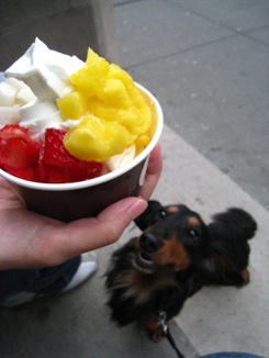 red mango