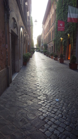 IMGP2622