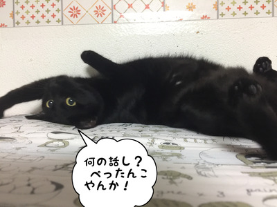 C7B8F2A3-90CE-4F4D-9C41-F277E59980D0