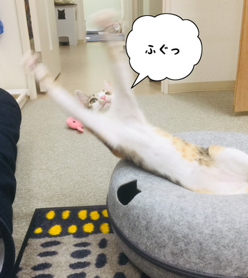2CC4C1B3-25D0-40AA-8FC7-A8B2BAD90E0E