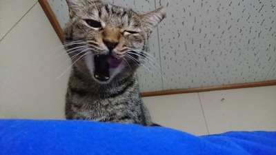 477CF5A8-3550-4E2D-BE1B-30A005B71A4F