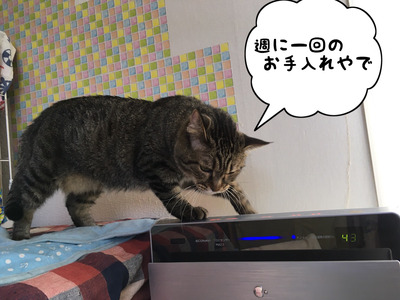6F8A396E-C265-48D3-B763-EB67958A6297