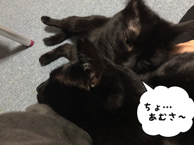B312390A-6E2D-4583-B343-153DAD1E4D73