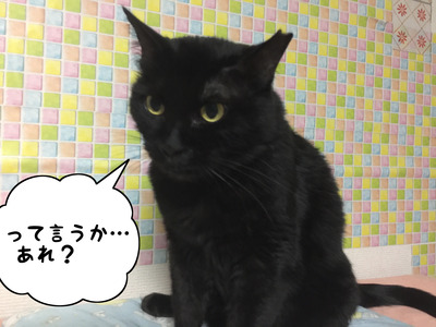 15111A7A-890F-485B-87D4-DF64FE9D282C