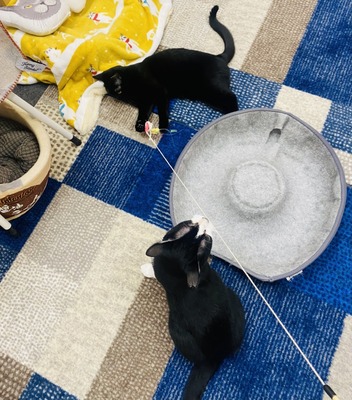 CE487E97-22ED-4AD7-B906-B62066066C44