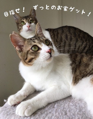 A0249BD6-73DF-497E-ABB2-8974A7F1A762