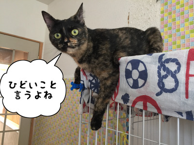 D4A14F34-509D-4098-A560-9B03D7967C61