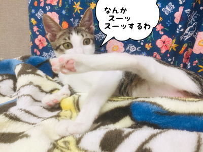 BBAB1C21-C97D-4E64-A478-B100830A199A