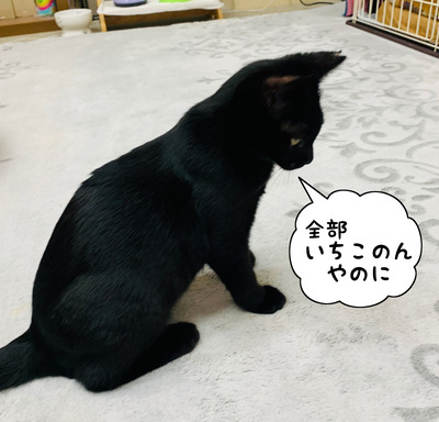 35BED948-F68D-40D1-AAC9-F0A07CB46FDE