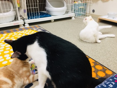 F733EB1E-4C83-4818-A159-FEBBF193FD6B