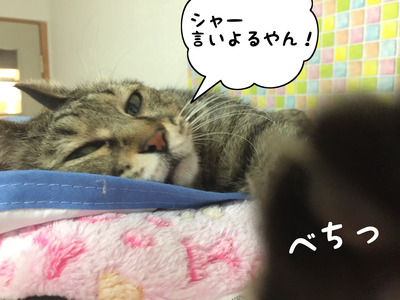 48F6E243-2A92-45F8-9A5F-9169643A082B
