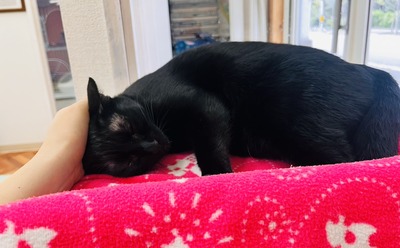 IMG_1061