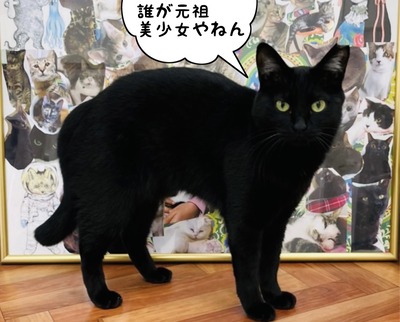355A9F23-7A80-4962-A451-BD76F7649352