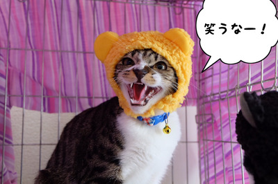 72CE089C-A62C-4470-A660-7FF40375F038