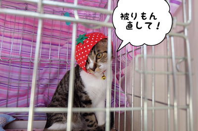 EBBDCB30-350D-4635-87C5-803C6ADE0799