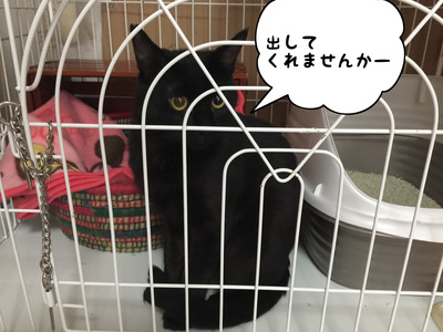 9467A2A5-8806-44BF-AA8D-7AC9630AA863