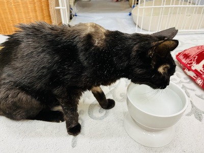 6E7B020B-2792-4DCD-8409-23FAFA8AA301