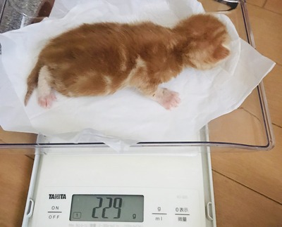 07BFD1C5-F3A4-45EF-AEAE-A400CABF8759