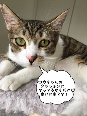 E99D6541-3D68-475D-B76D-A00FA546F128