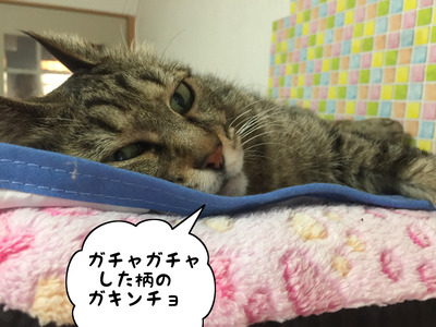 4925627B-97A3-48A1-815E-0DAD1210180E