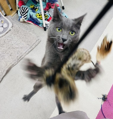 6660E10B-618C-4171-B2C4-2D85242E0808
