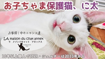 79D52C58-0293-4CFC-A100-0944BA75E923