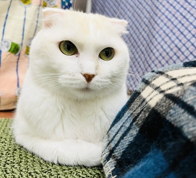 62AB0DAC-4F52-4894-9180-A61F47CD1D1A