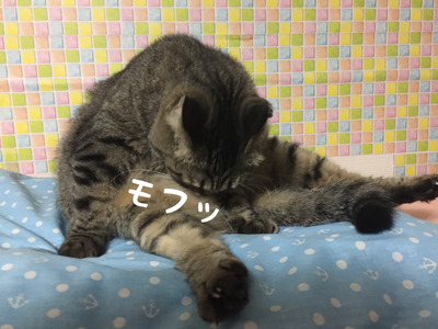 2701DD95-C74C-449C-A193-0F58E8676114
