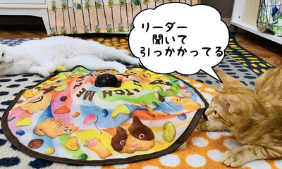 8FA5C6EC-3FB4-424B-9287-383466C1D3B7