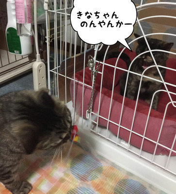 23460952-155E-42BC-B98C-883EB565C68F