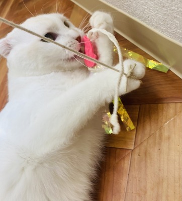 565C4F70-1211-43C7-BE5C-21E68D320030