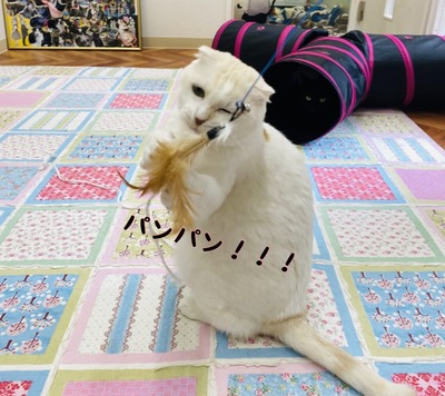 186A1F0F-6EF8-4DC1-B02D-85F9A2EF1651