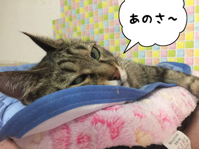 F9A71F7B-7A33-445C-92D4-B7450587C507