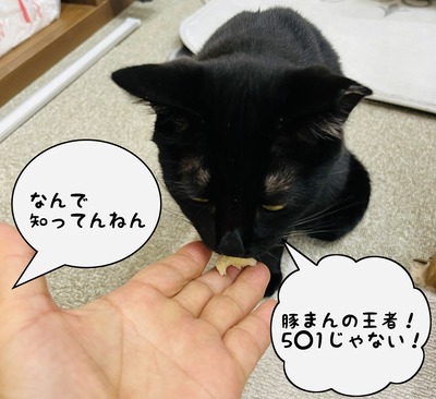 430E76CE-B762-466C-A7AC-8B837685101F
