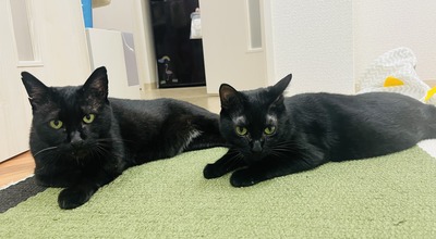 IMG_5109