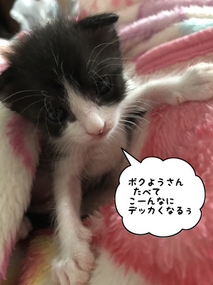 2025A408-465F-4CB7-93AE-B1E7D8C23457