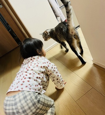 38F18AB9-5661-4E1D-9BC9-F2D7E3D853BE